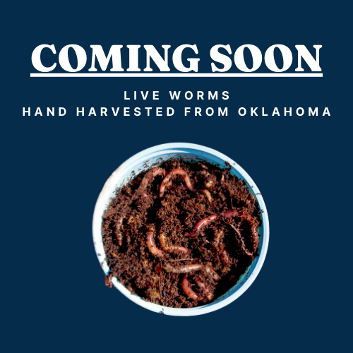 Live Worms *Coming Soon*